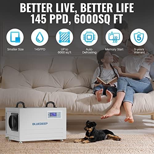 Commercial basement 70 pint dehumidifier with drain hose — photo 5
