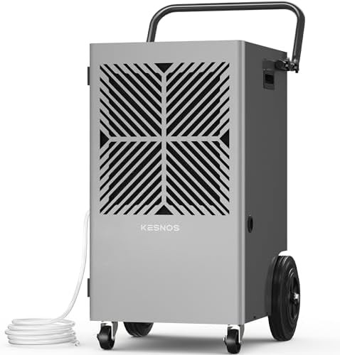 Commercial dehumidifier with pump and timer