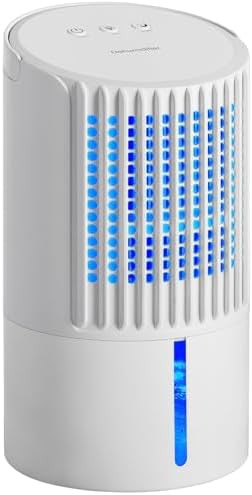 Cold white portable quiet bedroom dehumidifier