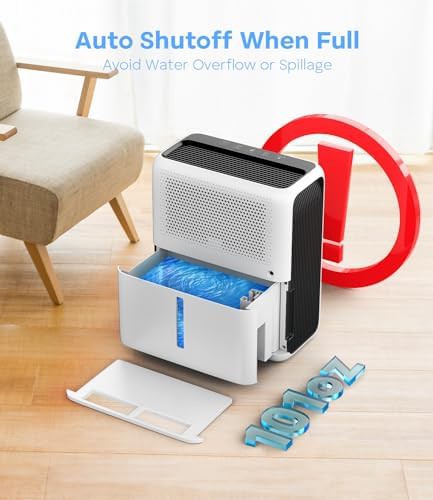 Rechargeable Box and Large Tank Dehumidifier — photo 4