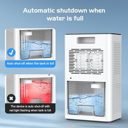 Basement dehumidifier with 24H timer — photo 3