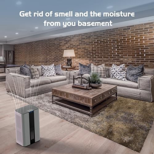 Basement dehumidifier with 24H timer — photo 5