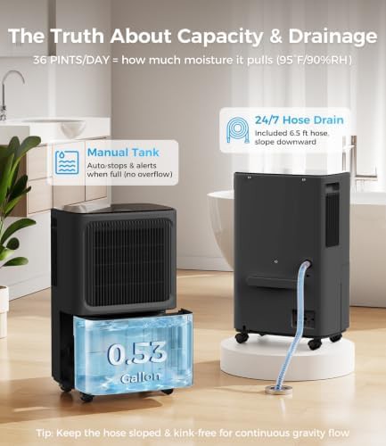 Basement Dehumidifier with Continuous Drain Hose — photo 5