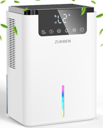 Basement dehumidifier with auto defrost and timer