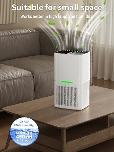 Quiet bedroom dehumidifier with LED lights — photo 4