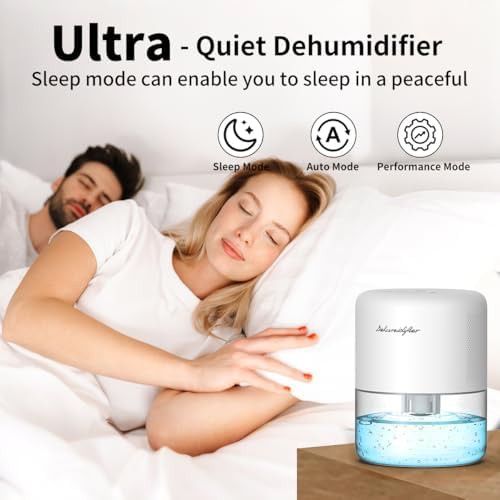 Small Quiet Dehumidifier with LED Light — photo 3
