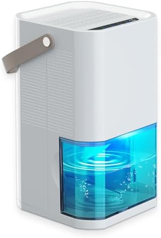 Dual core quiet dehumidifier for bathrooms and RVs