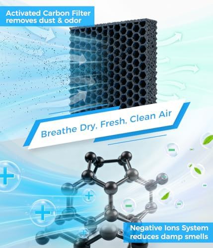 Large dehumidifier with activated carbon filter — photo 4