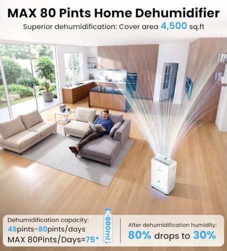 Energy Efficient Basement Compressor Dehumidifier — photo 3