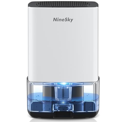 Small Dehumidifier for Home
